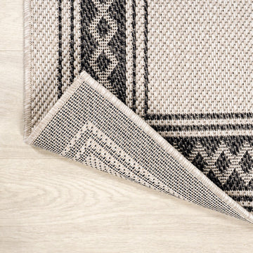 Lucia Classic Diamond Border Indoor/outdoor Area Rug